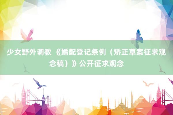 少女野外调教 《婚配登记条例（矫正草案征求观念稿）》公开征求观念