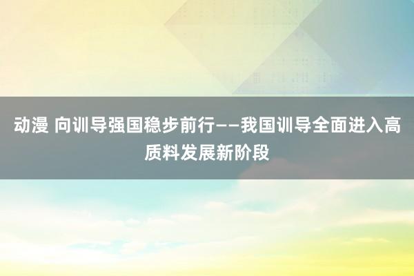 动漫 向训导强国稳步前行——我国训导全面进入高质料发展新阶段