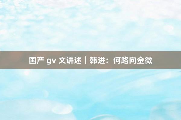 国产 gv 文讲述｜韩进：何路向金微