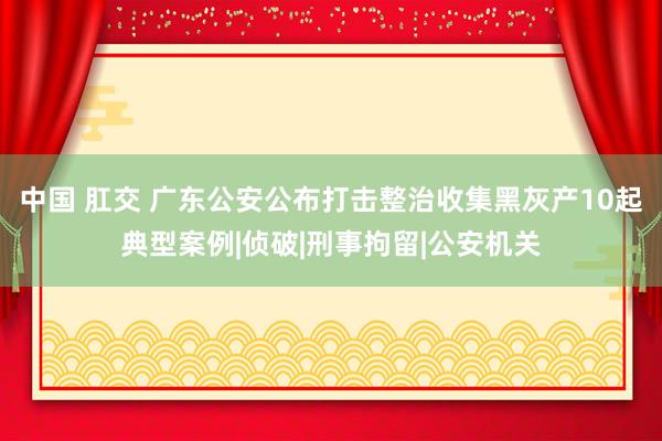 中国 肛交 广东公安公布打击整治收集黑灰产10起典型案例|侦破|刑事拘留|公安机关