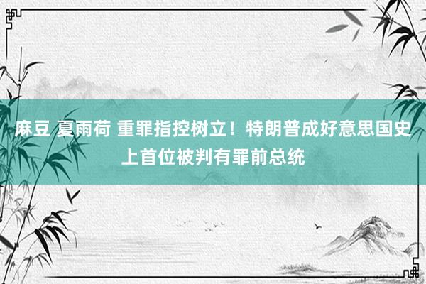 麻豆 夏雨荷 重罪指控树立！特朗普成好意思国史上首位被判有罪前总统