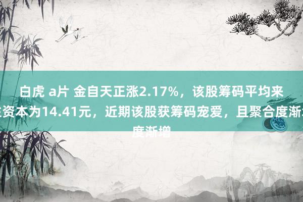 白虎 a片 金自天正涨2.17%，该股筹码平均来往资本为14.41元，近期该股获筹码宠爱，且聚合度渐增