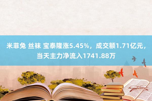 米菲兔 丝袜 宝泰隆涨5.45%，成交额1.71亿元，当天主力净流入1741.88万