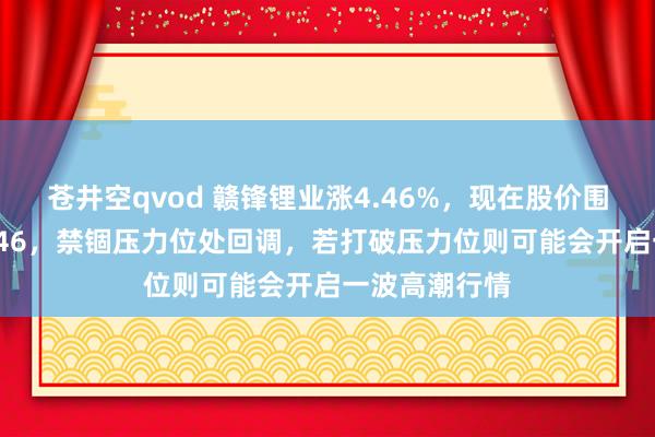 苍井空qvod 赣锋锂业涨4.46%，现在股价围聚压力位34.46，禁锢压力位处回调，若打破压力位则可能会开启一波高潮行情