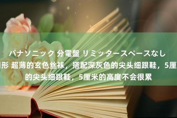 パナソニック 分電盤 リミッタースペースなし 露出・半埋込両用形 超薄的玄色丝袜，搭配深灰色的尖头细跟鞋，5厘米的高度不会很累