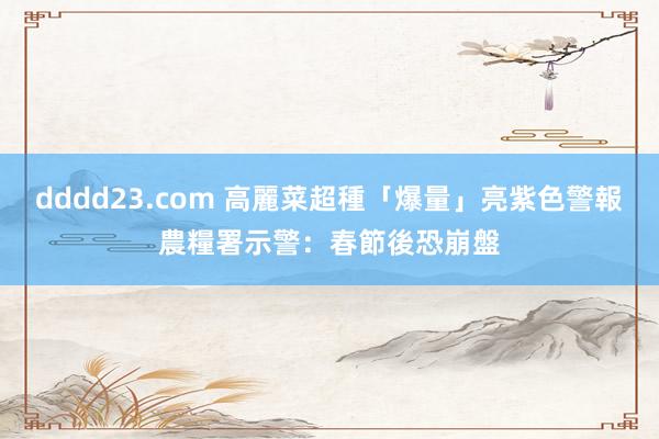 dddd23.com 高麗菜超種「爆量」亮紫色警報　農糧署示警：春節後恐崩盤