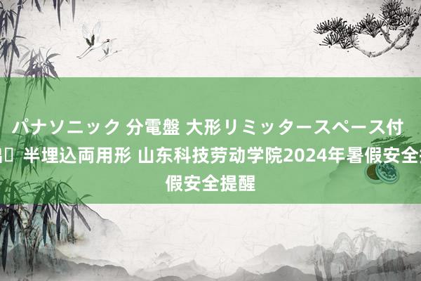 パナソニック 分電盤 大形リミッタースペース付 露出・半埋込両用形 山东科技劳动学院2024年暑假安全提醒