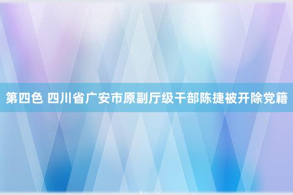 第四色 四川省广安市原副厅级干部陈捷被开除党籍